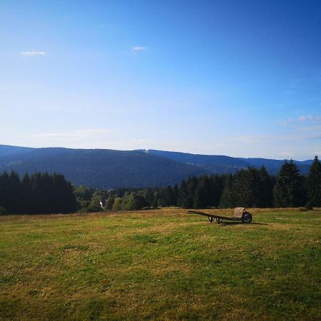 La Ferme Du Levant Gérardmer Екстериор снимка