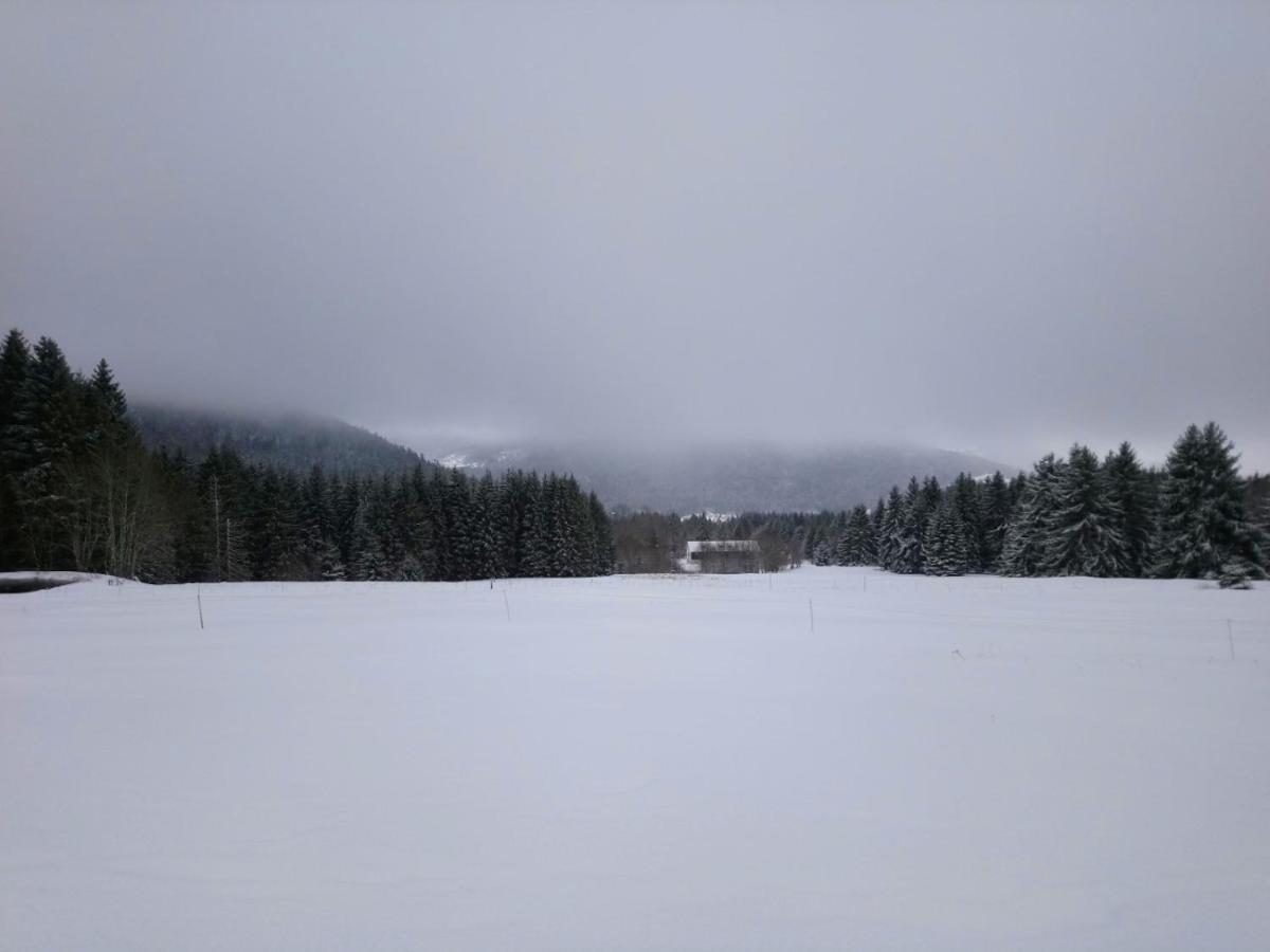 La Ferme Du Levant Gérardmer Екстериор снимка